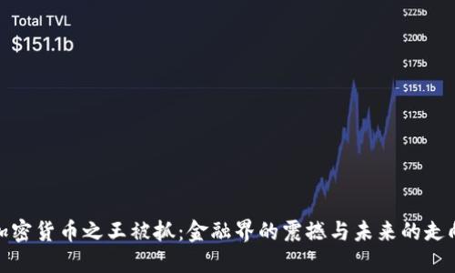 加密货币之王被抓：金融界的震撼与未来的走向