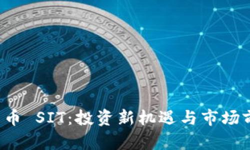  加密货币 SIT：投资新机遇与市场前景解析
