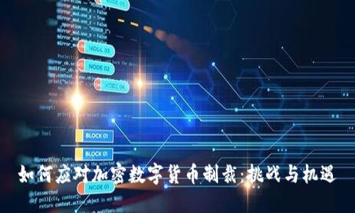如何应对加密数字货币制裁：挑战与机遇