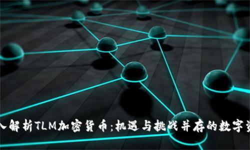 深入解析TLM加密货币：机遇与挑战并存的数字资产