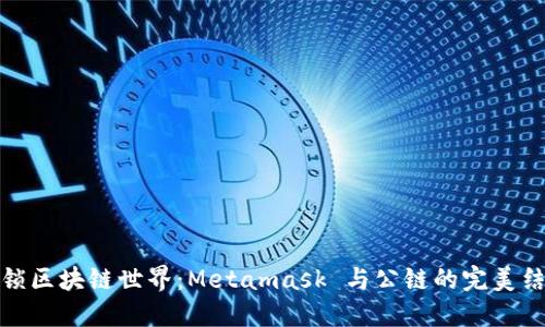 解锁区块链世界：Metamask 与公链的完美结合