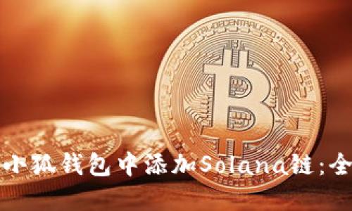 如何在小狐钱包中添加Solana链：全面指南