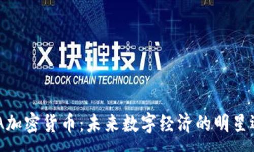 :

SMA加密货币：未来数字经济的明星选择