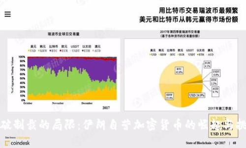 突破制裁的局限：伊朗自营加密货币的崛起与挑战