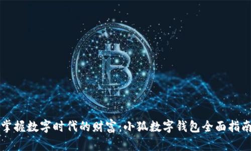 掌握数字时代的财富：小狐数字钱包全面指南