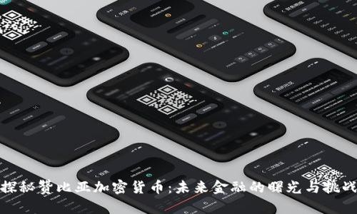 探秘赞比亚加密货币：未来金融的曙光与挑战