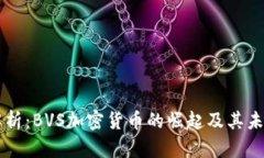 深入解析：BVS加密货币的