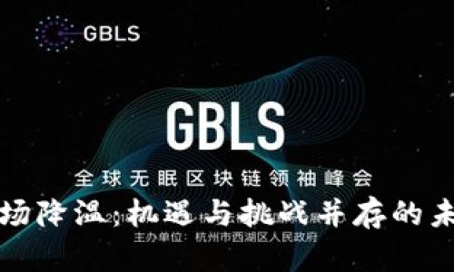 加密货币市场降温：机遇与挑战并存的未来走势分析