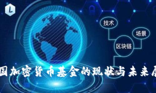 中国加密货币基金的现状与未来展望